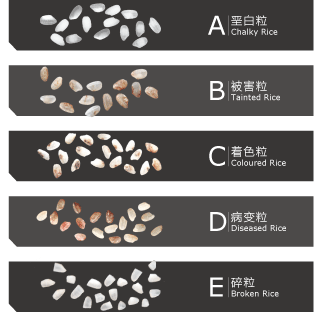 大米的分类及等级